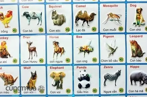 Hướng Dẫn Toàn Diện: Cách Nhận Biết Các Loài Vật Cho Bé Phát Triển Tư Duy Hướng Dẫn Toàn Diện: Cách Nhận Biết Các Loài Vật Cho Bé Phát Triển Tư Duy