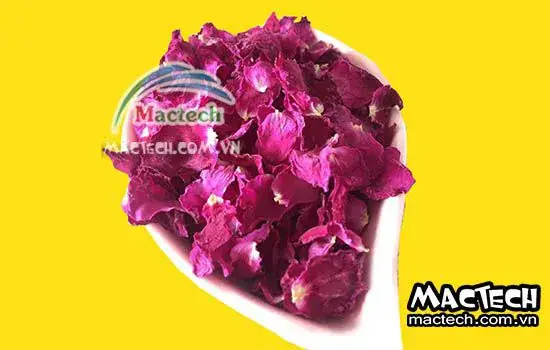 Hướng Dẫn Chi Tiết Cách Sấy Khô Cánh Hoa Hồng Tại Nhà Giữ Nguyên Màu Sắc Và Hương Thơm Hướng Dẫn Chi Tiết Cách Sấy Khô Cánh Hoa Hồng Tại Nhà Giữ Nguyên Màu Sắc Và Hương Thơm