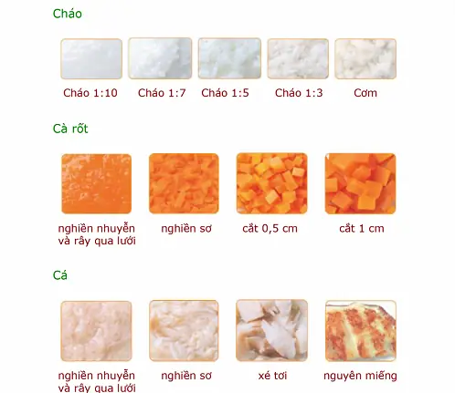 Hướng Dẫn Tăng Dần Độ Thô Cho Bé Ăn Dặm Chuẩn Who: Bé Không Nôn, Không Ọe Hướng Dẫn Tăng Dần Độ Thô Cho Bé Ăn Dặm Chuẩn Who: Bé Không Nôn, Không Ọe