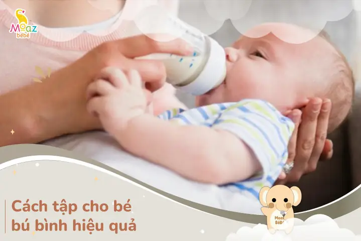 Hướng Dẫn Chi Tiết Cách Tập Cho Bé Bú Bình Hiệu Quả Nhất Giúp Bé Ngoan & Mẹ Nhàn
