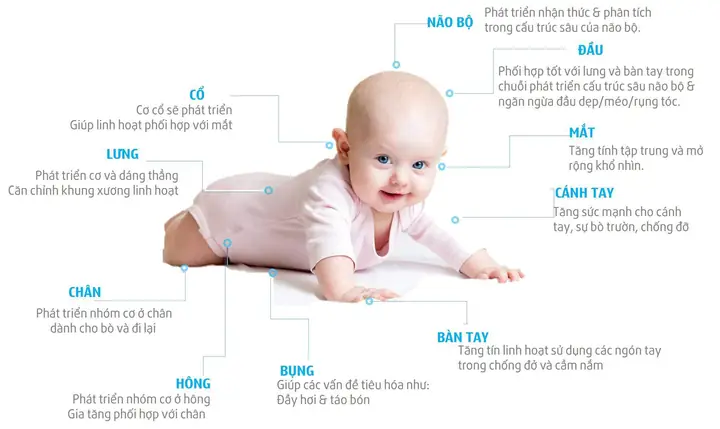 Tập Nằm Sấp Cho Trẻ Sơ Sinh Đúng Cách: Hướng Dẫn Tummy Time An Toàn & Hiệu Quả Tập Nằm Sấp Cho Trẻ Sơ Sinh Đúng Cách: Hướng Dẫn Tummy Time An Toàn & Hiệu Quả