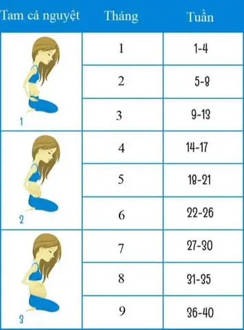 Cách Tính Tuổi Thai Theo Bề Cao Tử Cung Chính Xác Nhất: Hướng Dẫn Từ Chuyên Gia