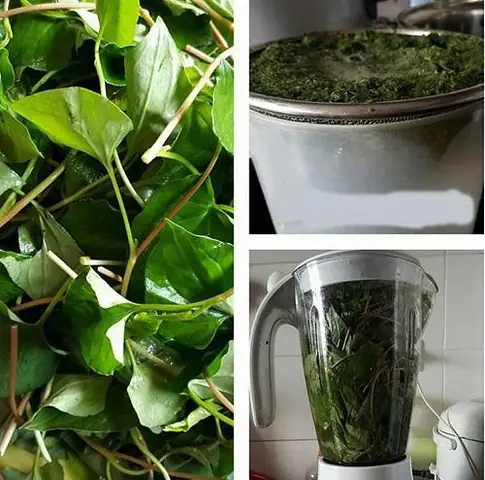 Cách Trị Mụn Ẩn Dưới Da Bằng Thiên Nhiên: Bí Quyết Dưỡng Da Sáng Mịn An Toàn Tại Nhà Cách Trị Mụn Ẩn Dưới Da Bằng Thiên Nhiên: Bí Quyết Dưỡng Da Sáng Mịn An Toàn Tại Nhà