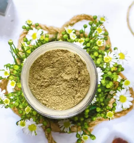 Thuốc Bắc Trị Mụn: Giải Pháp Tự Nhiên Hiệu Quả Từ Đông Y Thuốc Bắc Trị Mụn: Giải Pháp Tự Nhiên Hiệu Quả Từ Đông Y
