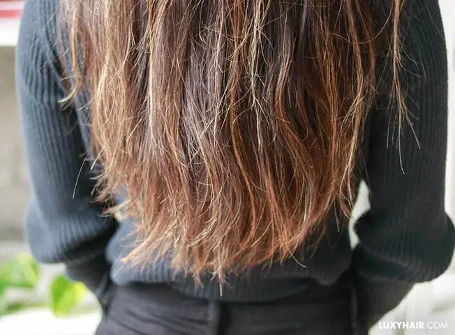 Tạm Biệt Tóc Chẻ Ngọn: Nguyên Nhân, Cách Khắc Phục Và Bí Quyết Chăm Sóc Hiệu Quả Tại Nhà