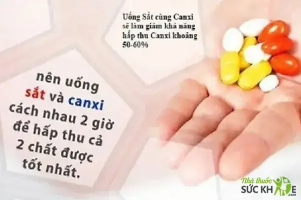 Cách Uống Canxi Và Vitamin Tổng Hợp Đúng Cách Để Tối Ưu Hấp Thụ Cách Uống Canxi Và Vitamin Tổng Hợp Đúng Cách Để Tối Ưu Hấp Thụ