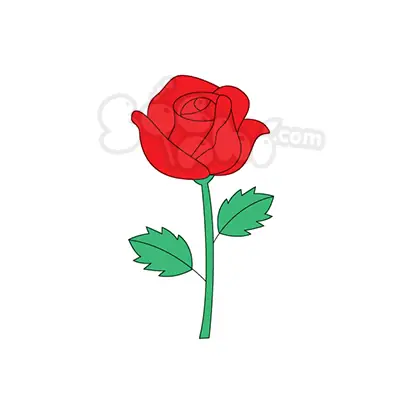 Hướng Dẫn Vẽ Hoa Hồng Đẹp: Từ Cơ Bản Đến Chi Tiết, Chinh Phục Mọi Phong Cách