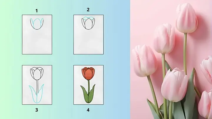 Cách Vẽ Các Loại Hoa Đẹp: Hướng Dẫn Chi Tiết Cho Người Mới Bắt Đầu