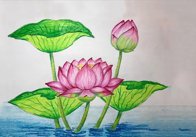 Cách Vẽ Hồ Sen Đơn Giản: Hướng Dẫn Từng Bước Cho Người Mới Bắt Đầu