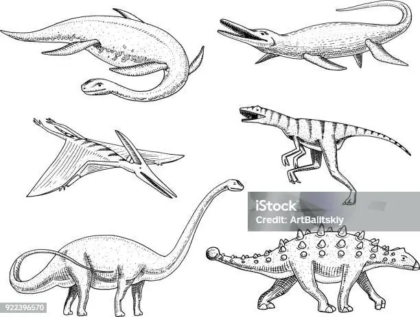 Cách Vẽ Mosasaurus