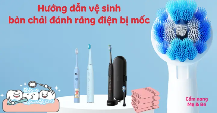 Hướng Dẫn Chi Tiết Cách Vệ Sinh Bàn Chải Điện Sạch Sẽ & Bền Lâu