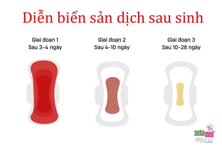 Cách Vệ Sinh Vùng Kín Sau Sinh Mổ Đúng Cách Giúp Nhanh Lành Vết Thương Cách Vệ Sinh Vùng Kín Sau Sinh Mổ Đúng Cách Giúp Nhanh Lành Vết Thương