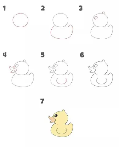 Cách Vẽ Vịt