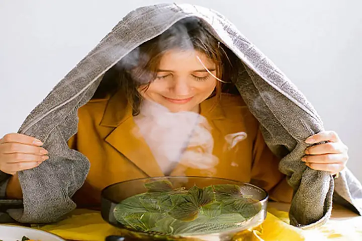 Xông Da Mặt Bằng Lá Tía Tô: Bí Quyết Dưỡng Da Sáng Mịn, Sạch Mụn Tại Nhà