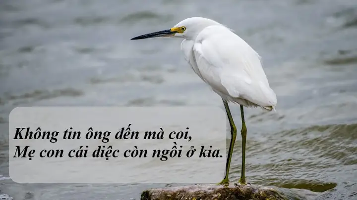 Bài Ca Dao "cái Cò, Cái Vạc, Cái Nông": Lời Ca Về Cuộc Sống Và Văn Hóa Việt