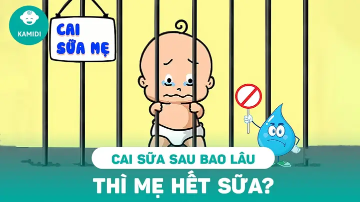 Bao Lâu Có Kinh Trở Lại Sau Khi Cai Sữa? Yếu Tố Ảnh Hưởng & Lời Khuyên Từ Chuyên Gia