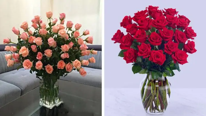 Bí Quyết Cắm Hoa Hồng Để Bàn Đẹp Tự Nhiên, Sang Trọng Cho Mọi Không Gian