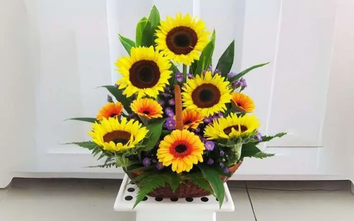Hướng Dẫn Cắm Hoa Hướng Dương Và Hoa Hồng Đẹp Tự Nhiên, Tươi Lâu