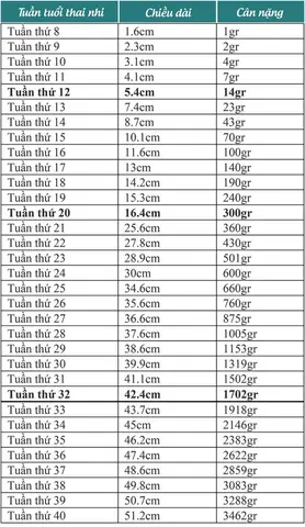 Cân Nặng Thai Nhi 22 Tuần Tuổi: Chuẩn Who, Phát Triển Và Mẹ Bầu Cần Biết
