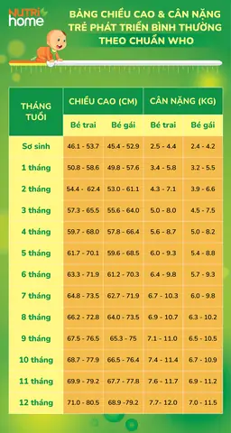 Bảng Cân Nặng Trẻ Theo Tháng: Chuẩn Who & Cách Theo Dõi Phát Triển Toàn Diện Bảng Cân Nặng Trẻ Theo Tháng: Chuẩn Who & Cách Theo Dõi Phát Triển Toàn Diện