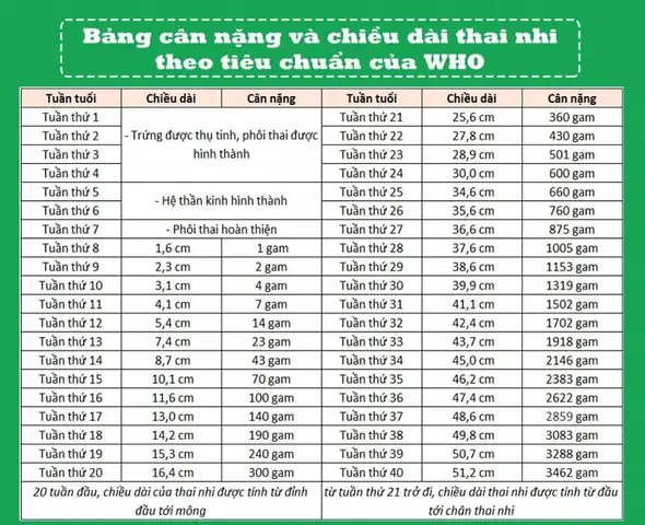 Cân Nặng Thai Nhi 33 Tuần Tuổi: Chuẩn Who, Mẹ Bầu Cần Biết Gì?