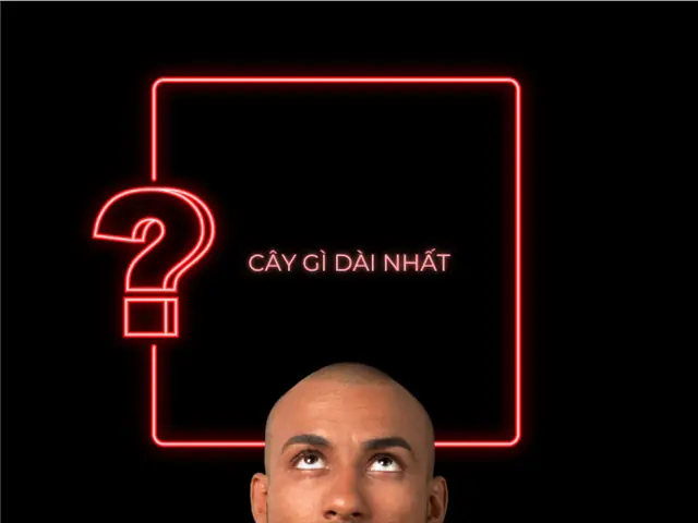 Cây Gì Dài Nhất? Giải Đáp Câu Đố Vui Hack Não Cực Hay Cây Gì Dài Nhất? Giải Đáp Câu Đố Vui Hack Não Cực Hay
