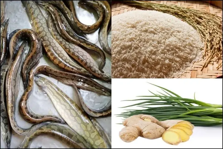 Cháo Cá Chạch Cho Bé Ăn Dặm: Công Thức Chuẩn, Lợi Ích Và Lưu Ý Quan Trọng