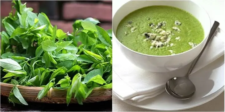 Cháo Gà Cho Bé Nấu Với Rau Gì? Tuyệt Chiêu Chọn Rau Tốt Nhất Cho Bé Ăn Dặm Cháo Gà Cho Bé Nấu Với Rau Gì? Tuyệt Chiêu Chọn Rau Tốt Nhất Cho Bé Ăn Dặm