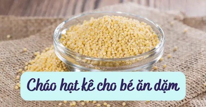 Hướng Dẫn Chi Tiết Cách Nấu Cháo Hạt Kê Gà Cho Bé Ăn Dặm Bổ Dưỡng, Dễ Tiêu Hướng Dẫn Chi Tiết Cách Nấu Cháo Hạt Kê Gà Cho Bé Ăn Dặm Bổ Dưỡng, Dễ Tiêu