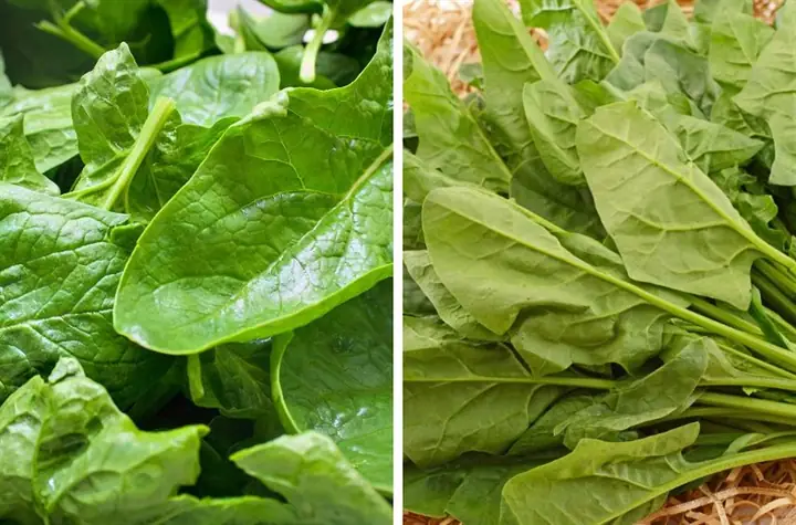 Chế Biến Cải Bó Xôi Cho Bé Ăn Dặm: Công Thức Ngon, Bổ Dưỡng, Dễ Làm