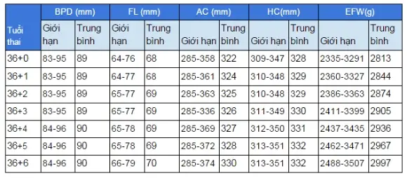 Chỉ Số Đường Kính Lưỡng Đỉnh (bpd) Theo Tuần Thai: Hướng Dẫn Chi Tiết Cho Mẹ Bầu Chỉ Số Đường Kính Lưỡng Đỉnh (bpd) Theo Tuần Thai: Hướng Dẫn Chi Tiết Cho Mẹ Bầu