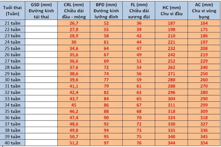 Chỉ Số Đường Kính Lưỡng Đỉnh (bpd) Theo Tuần Thai: Hướng Dẫn Chi Tiết Cho Mẹ Bầu Chỉ Số Đường Kính Lưỡng Đỉnh (bpd) Theo Tuần Thai: Hướng Dẫn Chi Tiết Cho Mẹ Bầu