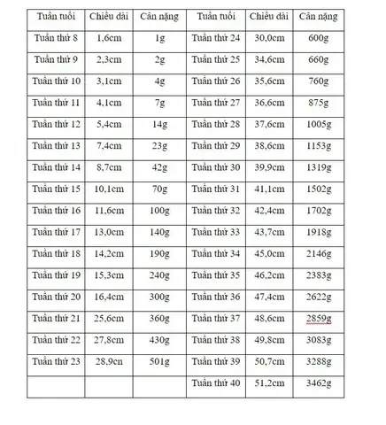 Thai Nhi 21 Tuần Tuổi: Chỉ Số Phát Triển Toàn Diện & Cẩm Nang Chăm Sóc Mẹ Bầu Thai Nhi 21 Tuần Tuổi: Chỉ Số Phát Triển Toàn Diện & Cẩm Nang Chăm Sóc Mẹ Bầu