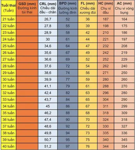 Thai Nhi 21 Tuần Tuổi: Chỉ Số Phát Triển Toàn Diện & Cẩm Nang Chăm Sóc Mẹ Bầu Thai Nhi 21 Tuần Tuổi: Chỉ Số Phát Triển Toàn Diện & Cẩm Nang Chăm Sóc Mẹ Bầu