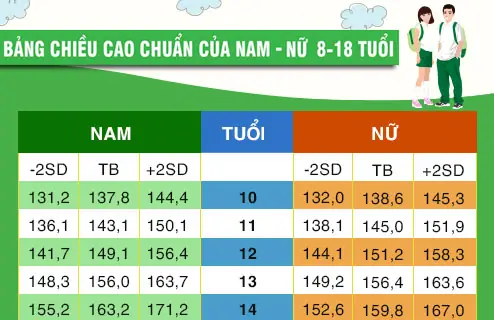 Chiều Cao Chuẩn Của Nữ 15 Tuổi: Bảng Chiều Cao, Cân Nặng Lý Tưởng & Cách Tối Ưu Tăng Chiều Cao