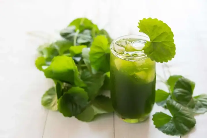 Bà Bầu/mẹ Cho Con Bú Ăn Rau Câu Được Không? Lợi Ích & Lưu Ý Quan Trọng