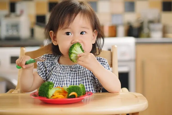 Hướng Dẫn Ăn Dặm Kiểu Nhật Toàn Diện: Nguyên Tắc, Thực Đơn & Lưu Ý Cho Bé