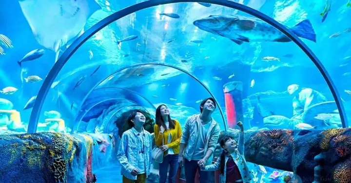 Khám Phá Hà Nội: Top Địa Điểm Vui Chơi Cho Trẻ Em Cả Gia Đình Không Thể Bỏ Lỡ