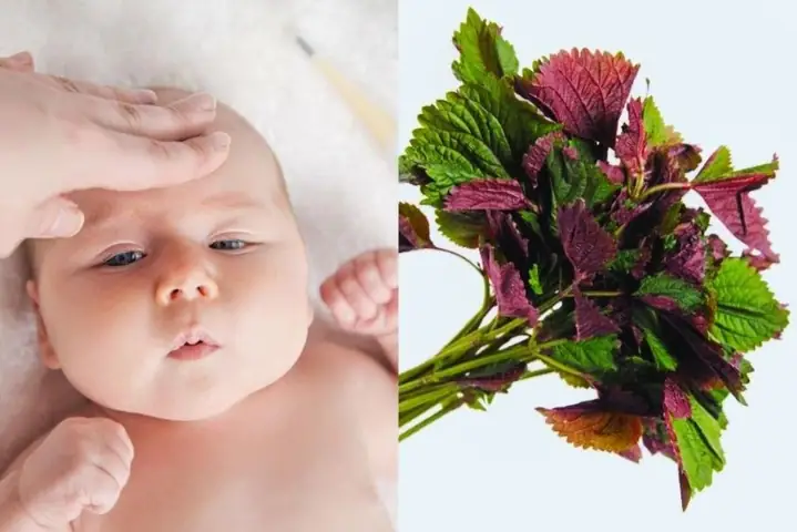 Cách Chữa Ho Cảm Cúm Cho Trẻ Sơ Sinh An Toàn, Hiệu Quả Tại Nhà