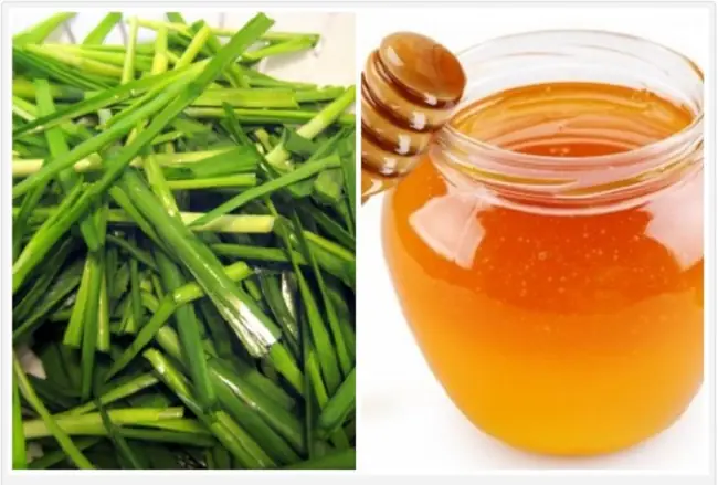 Chữa Ho Cho Trẻ Sơ Sinh Bằng Mật Ong: Hướng Dẫn An Toàn & Hiệu Quả Từ Dân Gian Đến Y Khoa Chữa Ho Cho Trẻ Sơ Sinh Bằng Mật Ong: Hướng Dẫn An Toàn & Hiệu Quả Từ Dân Gian Đến Y Khoa