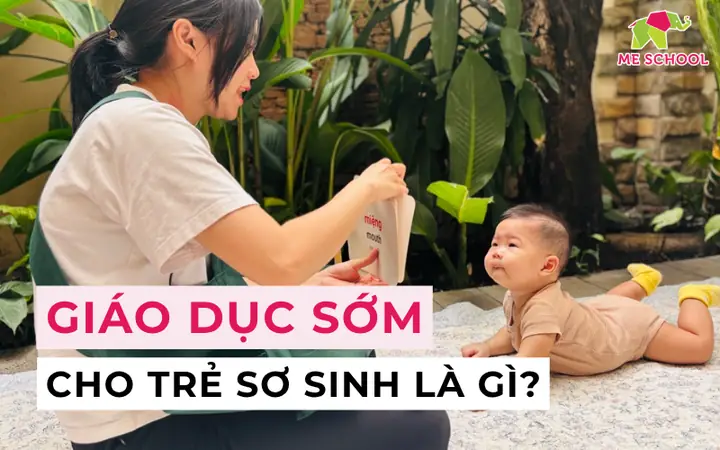 Chương Trình Giáo Dục Sớm Cho Trẻ Sơ Sinh: Lợi Ích, Phương Pháp & Hoạt Động Hiệu Quả
