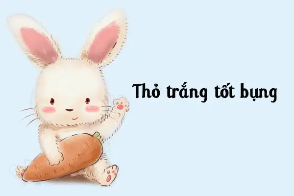 Truyện Kể Cho Thai Nhi Thông Minh: Bí Quyết Nuôi Dưỡng Trí Tuệ Sớm Từ Trong Bụng Mẹ