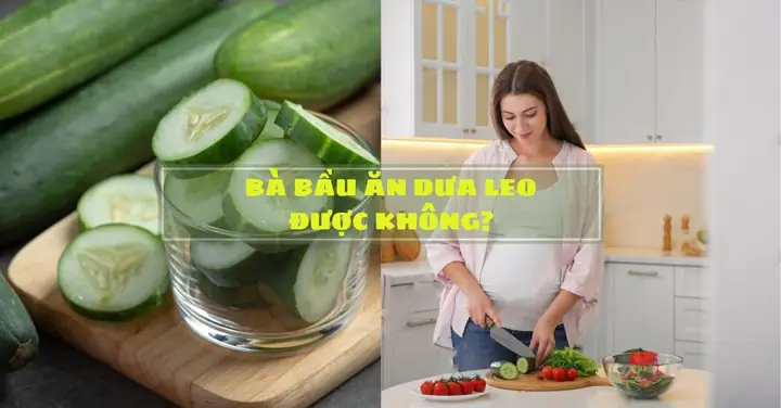 Bầu 3 Tháng Đầu Ăn Dưa Leo Được Không? Lợi Ích Và Lưu Ý Chi Tiết Bầu 3 Tháng Đầu Ăn Dưa Leo Được Không? Lợi Ích Và Lưu Ý Chi Tiết