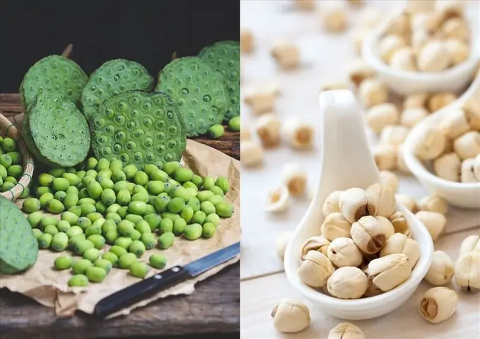 Bà Bầu Ăn Hạt Sen Tươi Được Không? Lợi Ích Và Lưu Ý Cần Biết