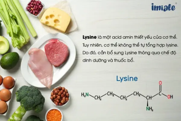 Bổ Sung Lysine Cho Bé: Có Nên Hay Không? Hướng Dẫn Đúng Cách, Liều Lượng Và Lưu Ý
