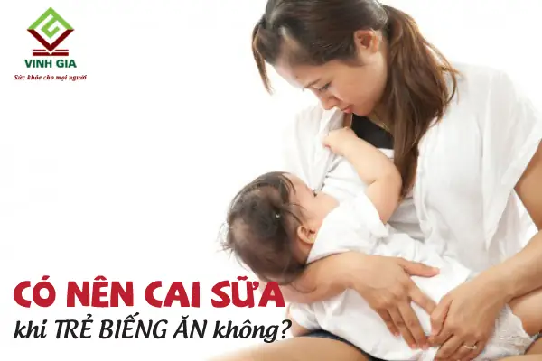 Có Nên Cai Sữa Khi Trẻ Biếng Ăn: Thời Điểm Vàng & Cách Xử Lý Thông Minh Có Nên Cai Sữa Khi Trẻ Biếng Ăn: Thời Điểm Vàng & Cách Xử Lý Thông Minh
