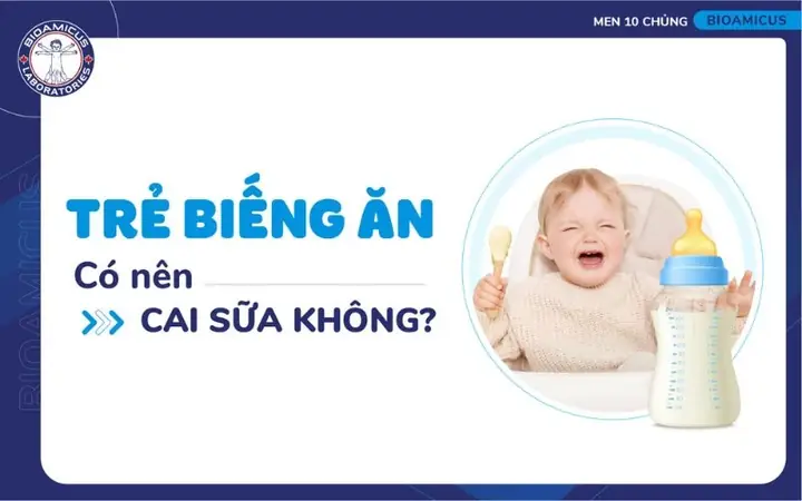 Có Nên Cai Sữa Khi Trẻ Biếng Ăn: Thời Điểm Vàng & Cách Xử Lý Thông Minh Có Nên Cai Sữa Khi Trẻ Biếng Ăn: Thời Điểm Vàng & Cách Xử Lý Thông Minh