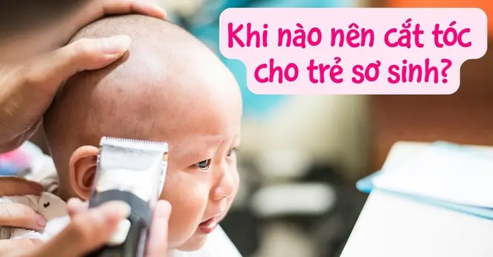 Có Nên Cắt Tóc Máu Cho Trẻ Dưới 1 Tuổi? Thời Điểm & Lưu Ý Quan Trọng