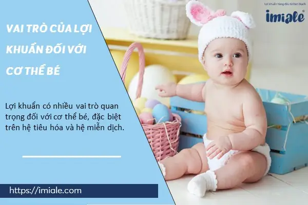 Có Nên Cho Trẻ Uống Bào Tử Lợi Khuẩn Không? Lợi Ích & Lưu Ý Chi Tiết Từ Chuyên Gia