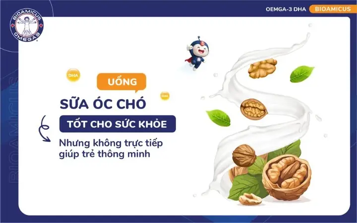 Có Nên Cho Trẻ Uống Sữa Óc Chó? Lợi Ích, Độ Tuổi Và Lưu Ý Chi Tiết